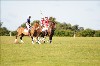 UKPA NC SAT_2172